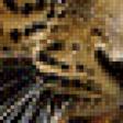 Предпросмотр схемы вышивки «леопард идёт» (№648244)