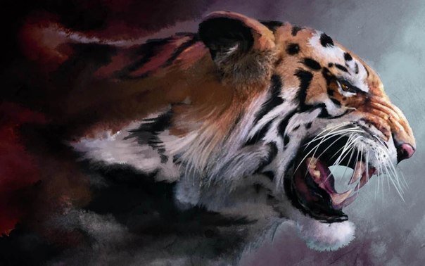 Тигрушка - тигр, рисунок, животные - оригинал