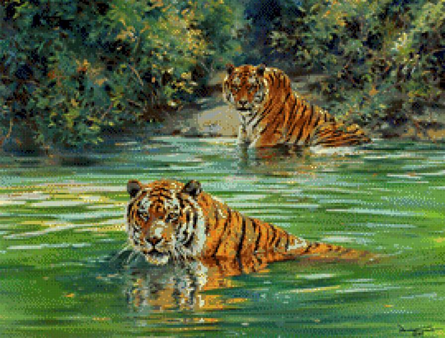Donald Grant-Tygrysy - natura, pejzaz, tygrysy - предпросмотр