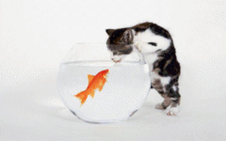 кошка с аквариумом - рыба, кошка - предпросмотр