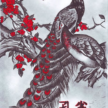 Оригинал схемы вышивки «птицы» (№649956)