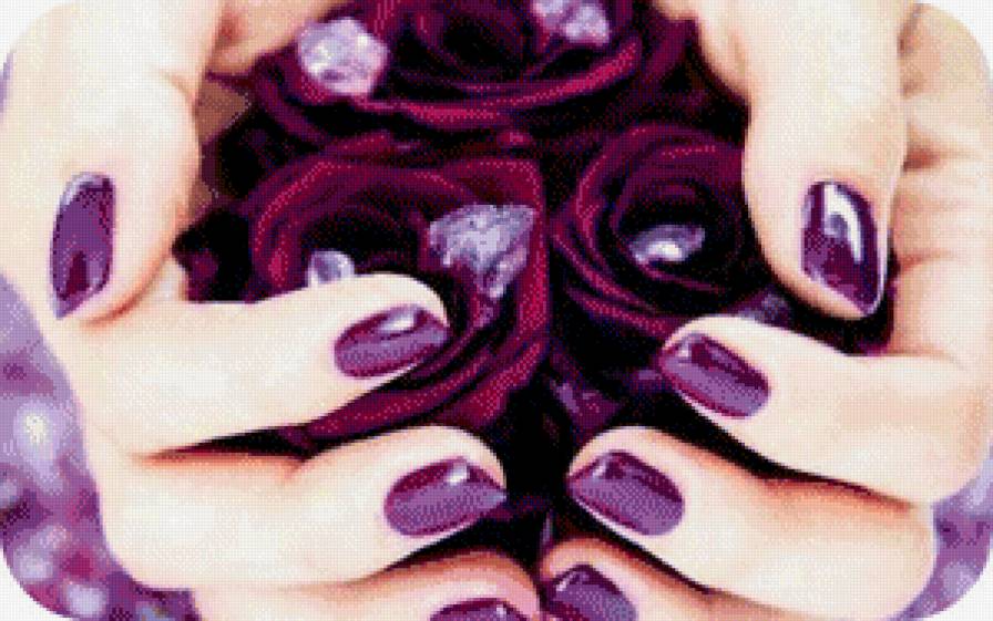 фиолетовые розы в ладонях - руки, камни, розы - предпросмотр