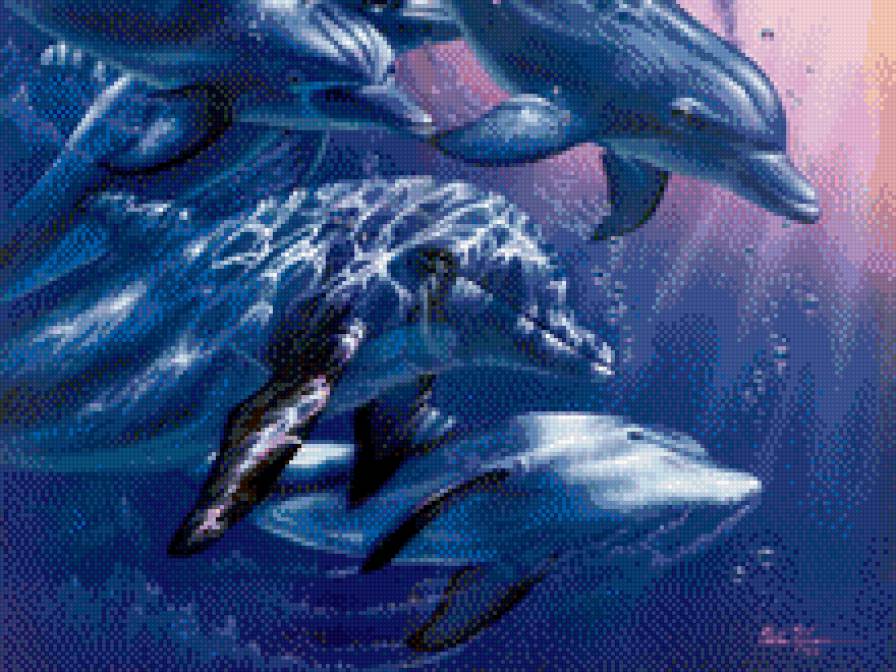 дельфины - риба, океан, дельфин - предпросмотр