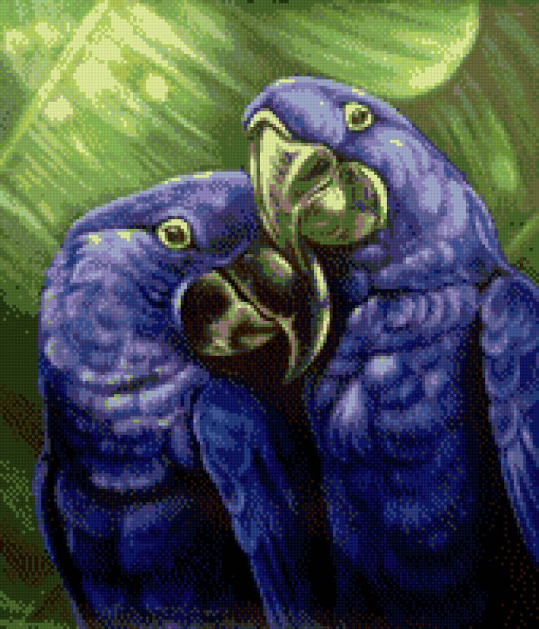 синие попугайчики - птицы, животные, попугаи - предпросмотр