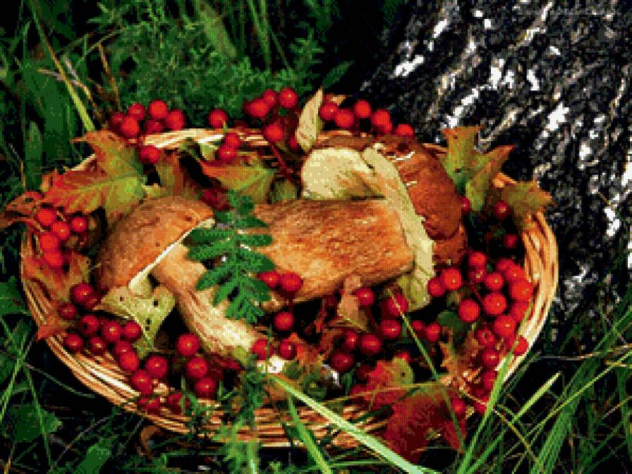 дары осени - осень, корзина, грибы, ягоды - предпросмотр