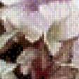 Предпросмотр схемы вышивки «цветы» (№651457)
