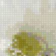 Предпросмотр схемы вышивки «кактус» (№651921)