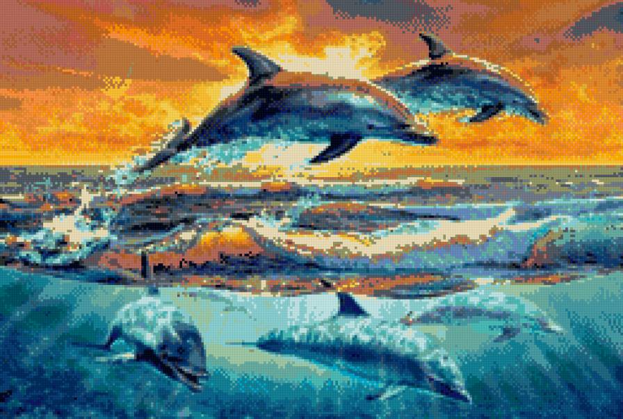 дельфины - закат, дельфин, океан, риба - предпросмотр