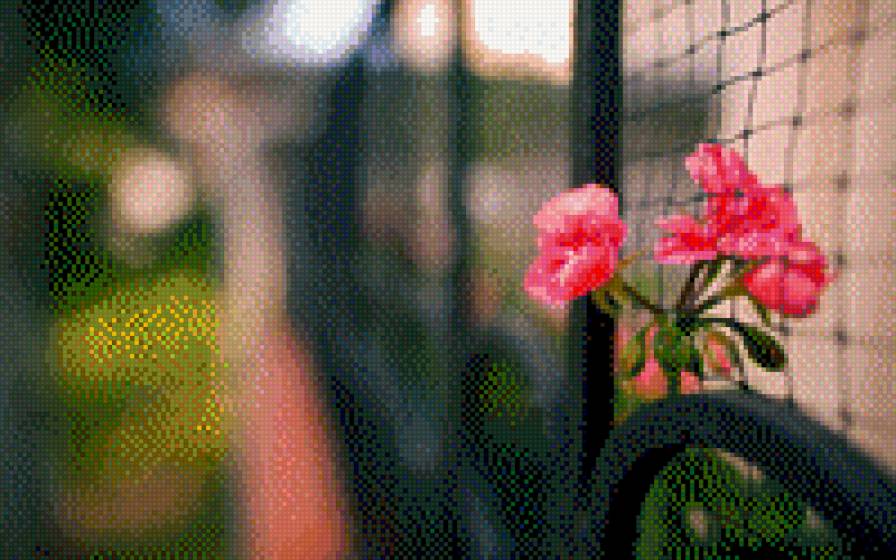 Цветок в заборе - весна, забор, цветок - предпросмотр
