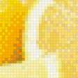 Предпросмотр схемы вышивки «лимон» (№652756)