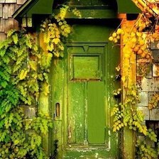зелёная дверь