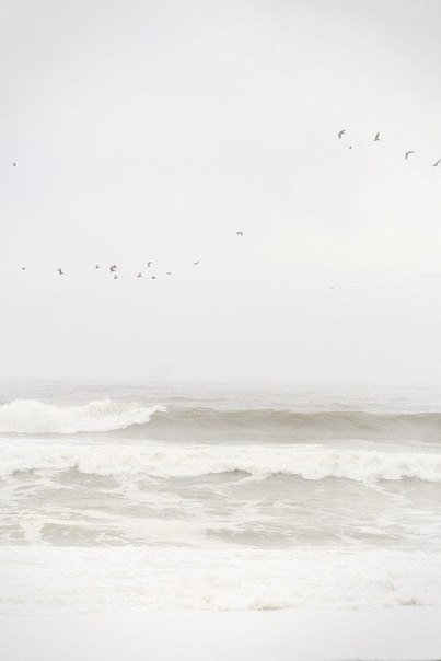 белое море - волны, горизонт, море - оригинал