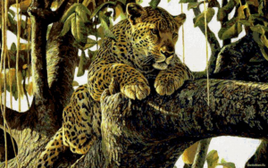 Леопард на дереве - предпросмотр
