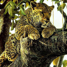 Схема вышивки «Леопард на дереве»