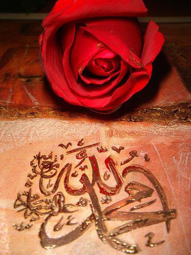 trandafir Allah - оригинал
