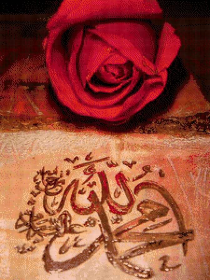 trandafir Allah - предпросмотр