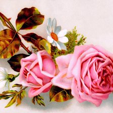Оригинал схемы вышивки «розы» (№654276)