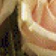 Предпросмотр схемы вышивки «Розы» (№654299)