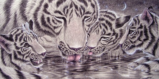 Картина Кентаро Нишино - тигры, семейство, животные - оригинал