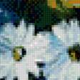 Предпросмотр схемы вышивки «цветы» (№654825)