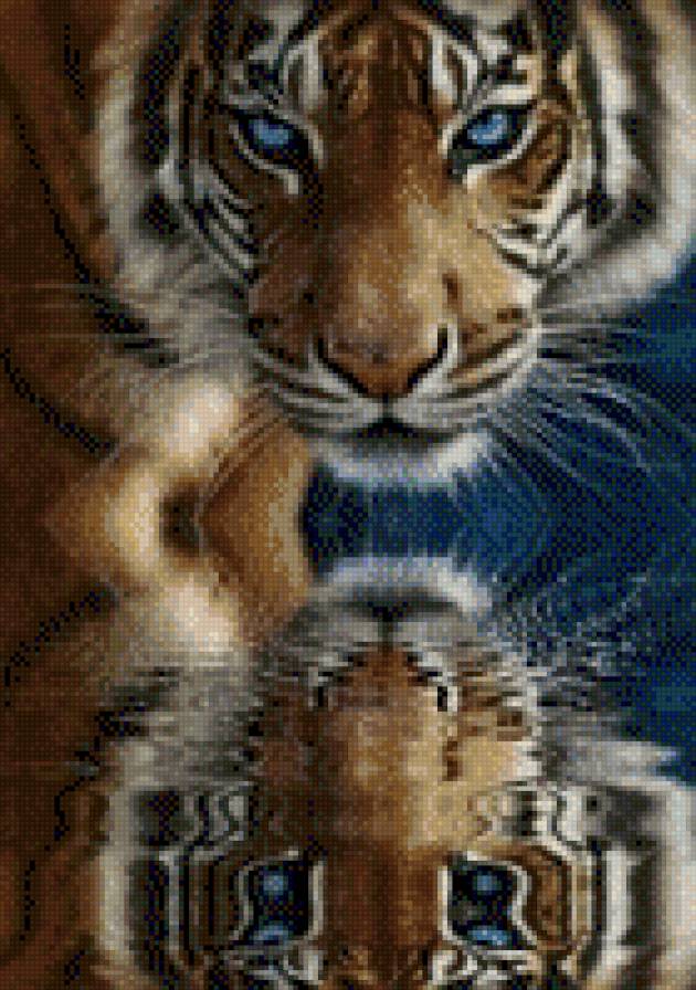 отражение в воде - вода.тигр. отражение.природа.животные. - предпросмотр