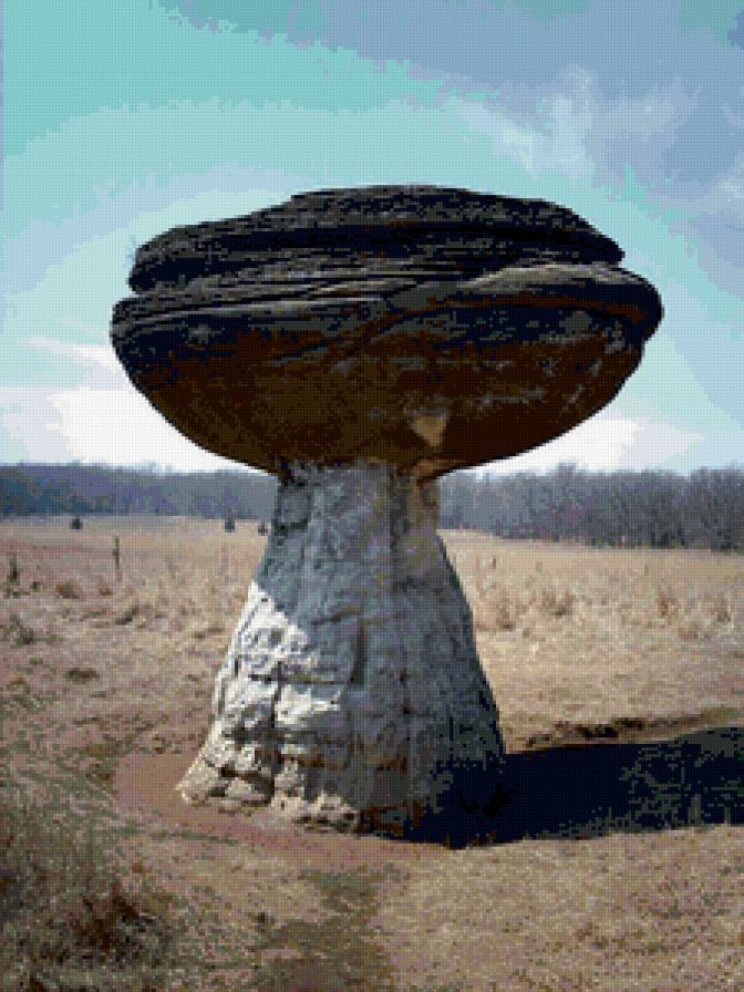 каменный гриб - предпросмотр