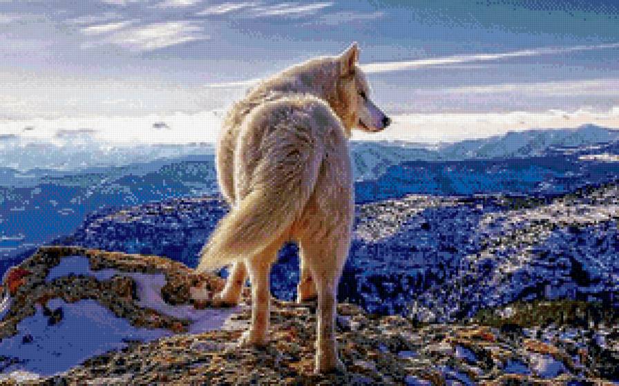 Волк - одиночество, волк, горы - предпросмотр