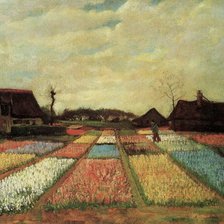Поля тюльпанов (Ван Гог)