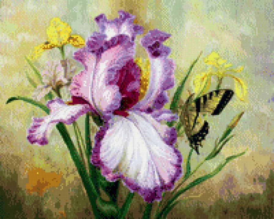 ирис и бабочка - цветок, бабочка, ирис - предпросмотр