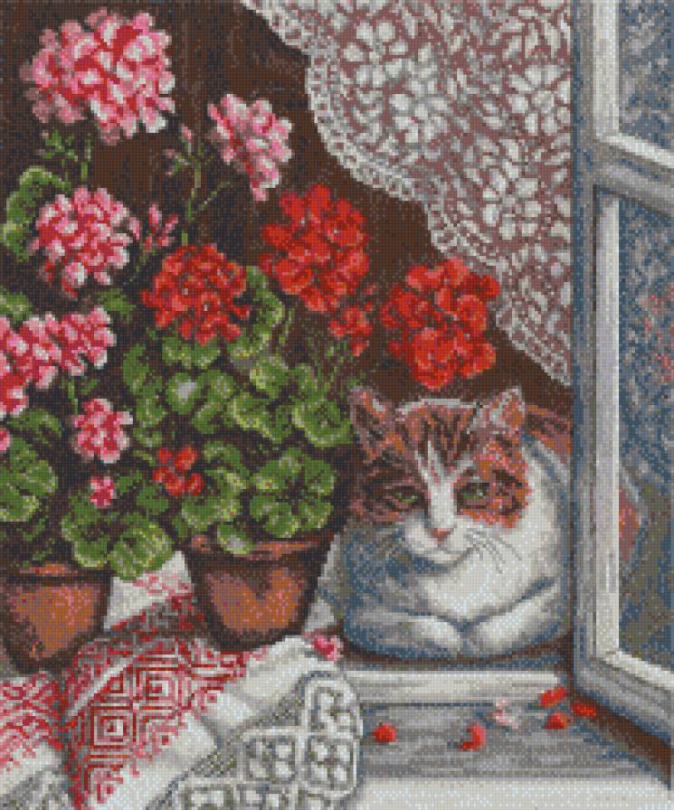 герань на окне - уют, герань, кот, деревня, цветы - предпросмотр