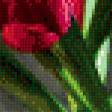 Предпросмотр схемы вышивки «тюльпаны» (№656382)