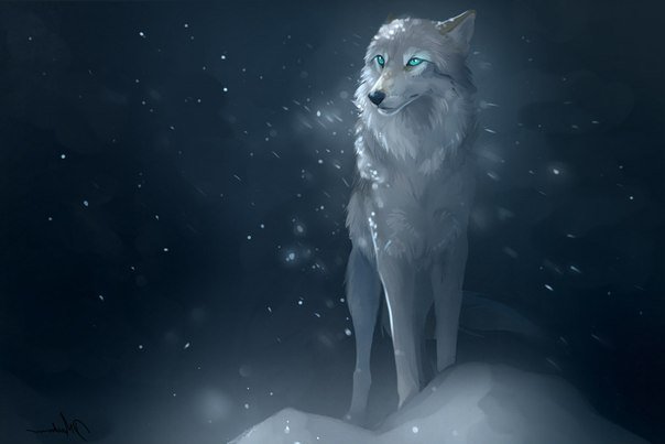 Волк - животные, волк, зима - оригинал