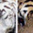 Предпросмотр схемы вышивки «тигры» (№657030)