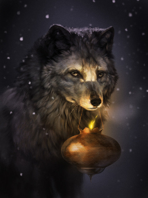 волк - волки, ночь, животные, волк - оригинал