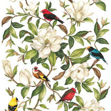 Оригинал схемы вышивки «птички» (№658335)