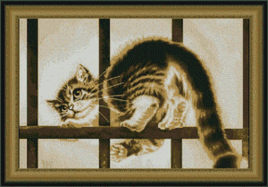 кот в окне - животные, коты - предпросмотр
