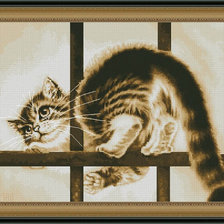 Оригинал схемы вышивки «кот в окне» (№658501)