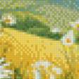 Предпросмотр схемы вышивки «луговые цветы» (№659159)