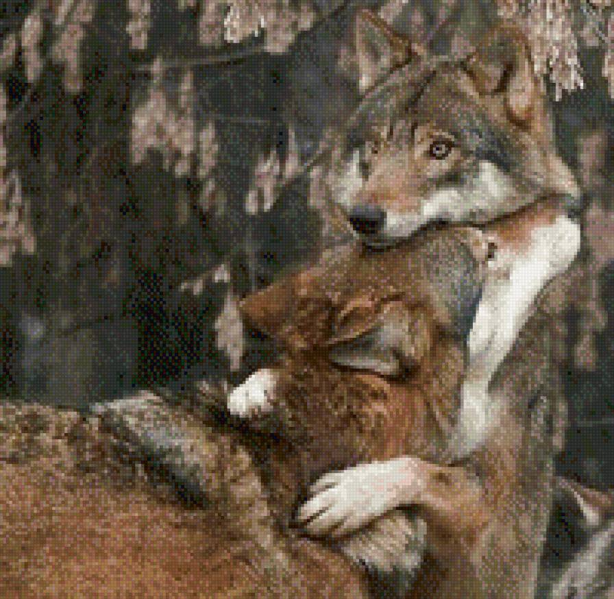 Волки - волк, объятия, любовь - предпросмотр