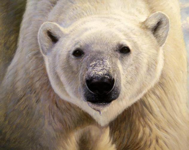 Белый медведь - животные, белый медведь, живопись - оригинал