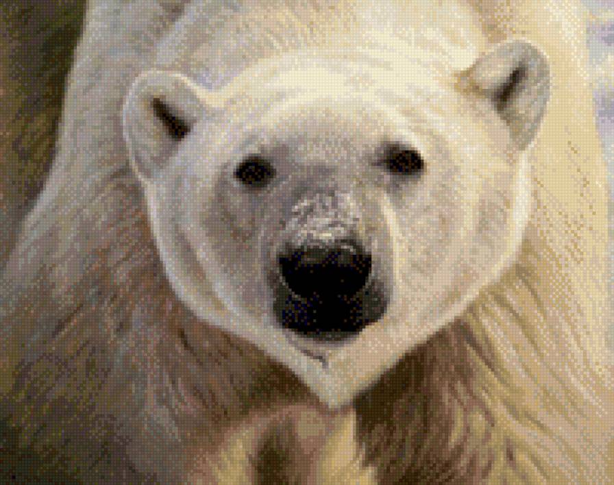 Белый медведь - животные, живопись, белый медведь - предпросмотр