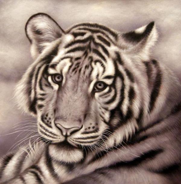Белый тигр - монохром, живопись, белый тигр, животные - оригинал