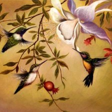 колибри и цветы