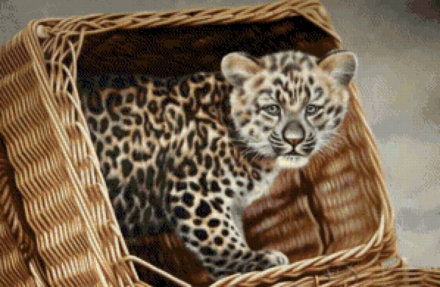 котенок в коробке - живопись, животные, ягуар, котенок - предпросмотр