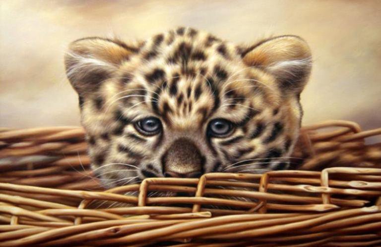 котенок ягуара - живопись, котенок, ягуар, животные - оригинал