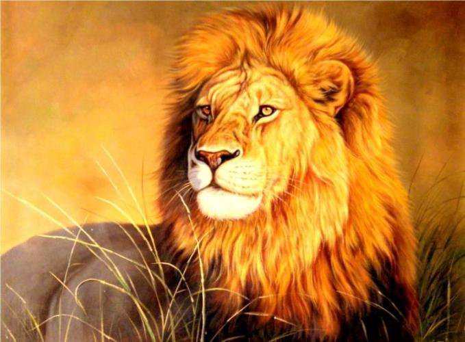 огненный лев - живопись, лев, животные - оригинал