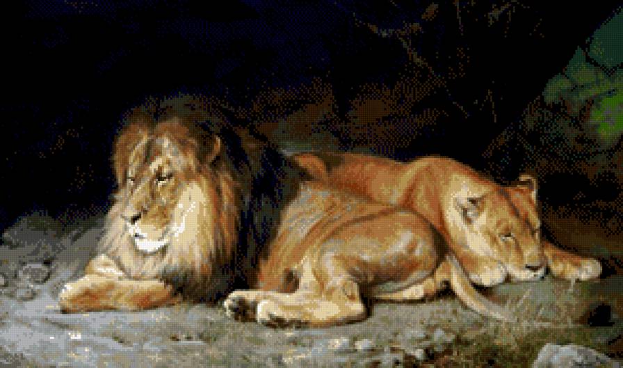 львы отдыхают - лев, живопись, животные, львы - предпросмотр