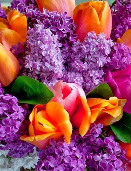 тюльпаны и сирень - цветы, букет, сирень, тюльпаны - оригинал