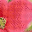 Предпросмотр схемы вышивки «розовый цветок» (№660394)