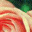 Предпросмотр схемы вышивки «Розы» (№660549)